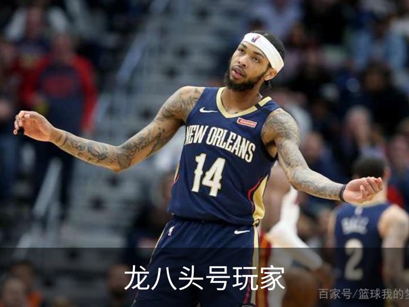 龙八头号玩家简介